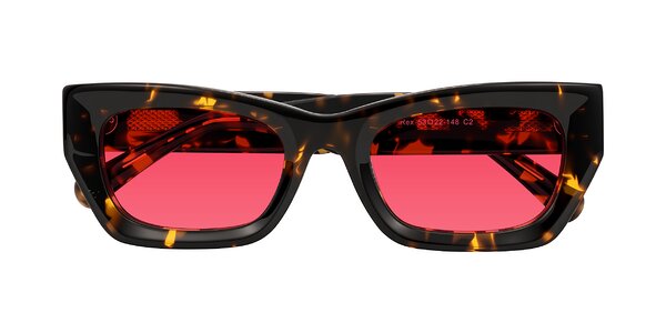 Front of Rex in Tortoise