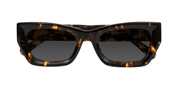 Front of Rex in Tortoise