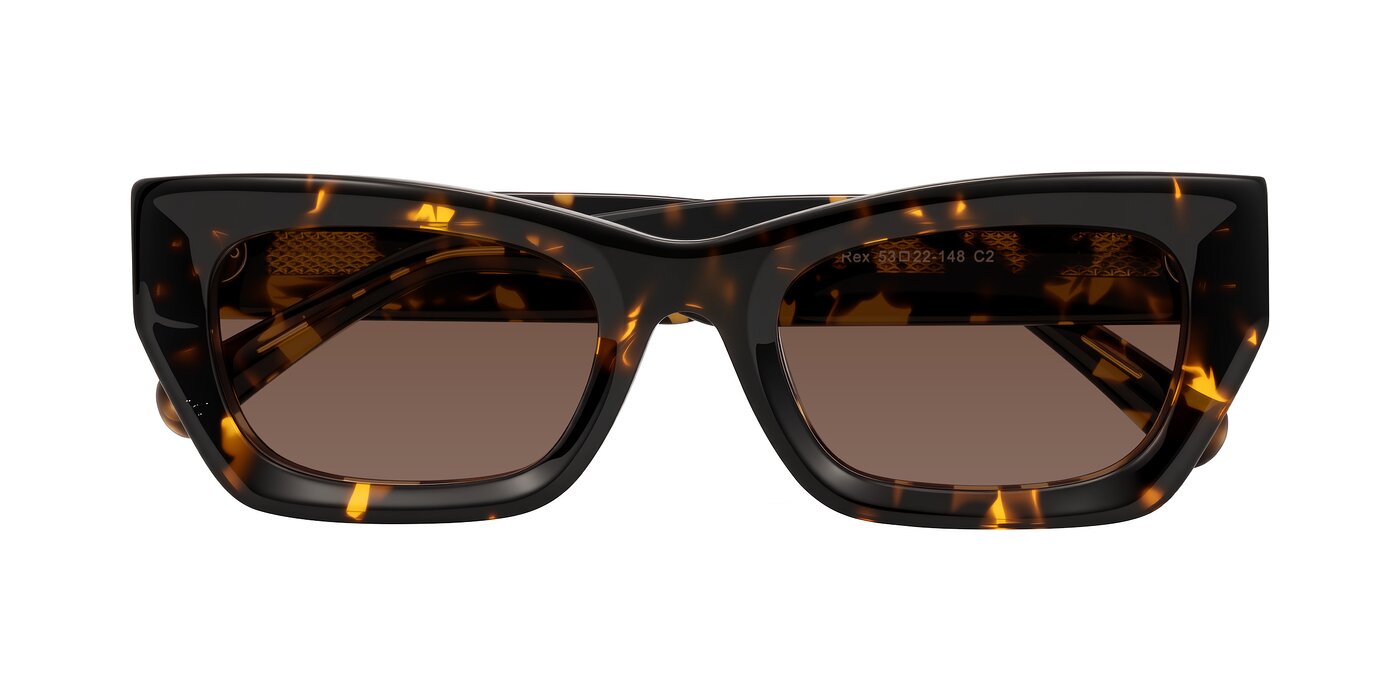 Rex - Tortoise Tinted Sunglasses