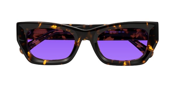 Front of Rex in Tortoise