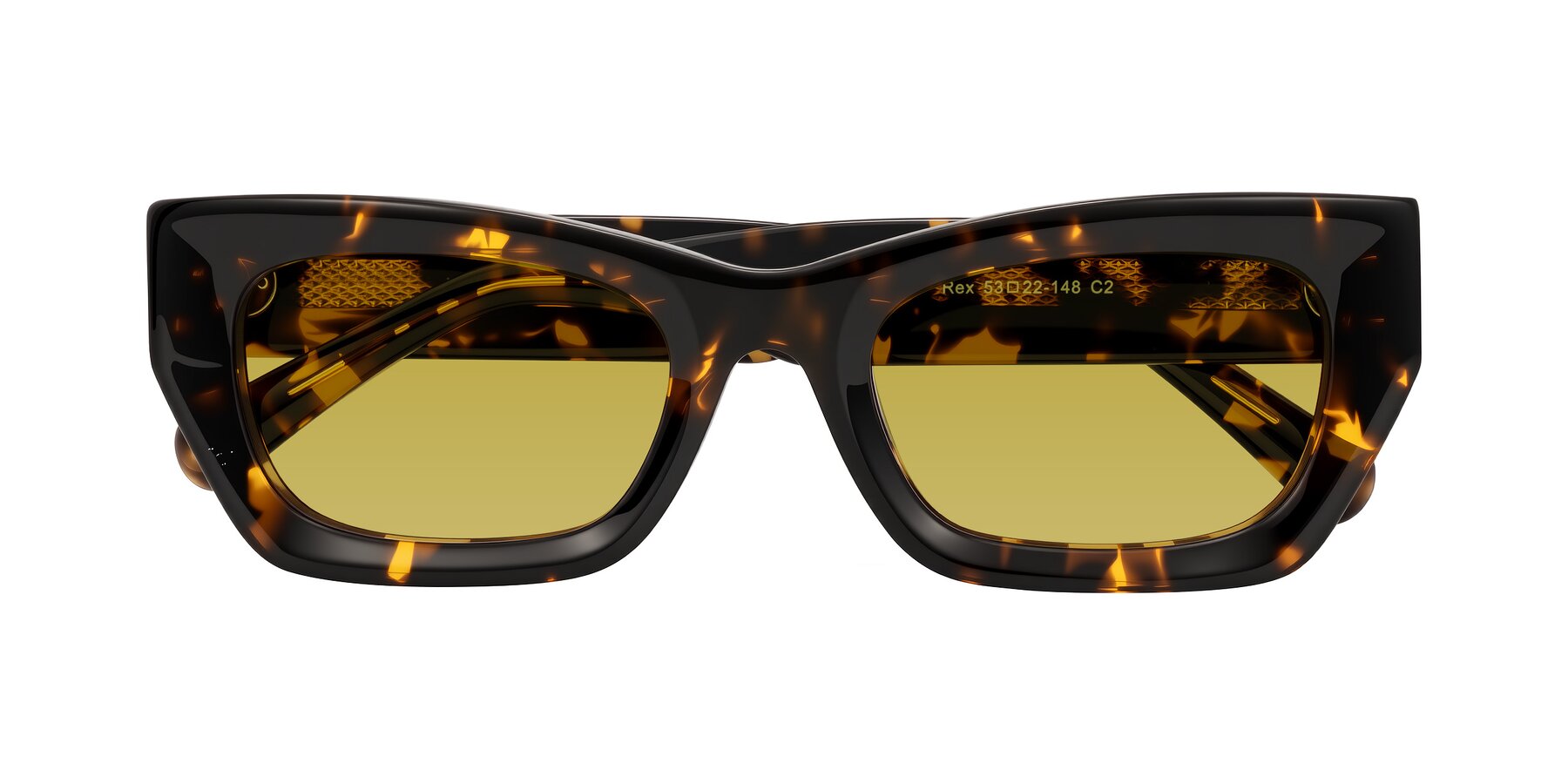 Folded Front of Rex in Tortoise with Champagne Tinted Lenses