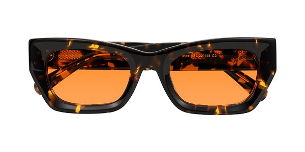 Front of Rex in Tortoise
