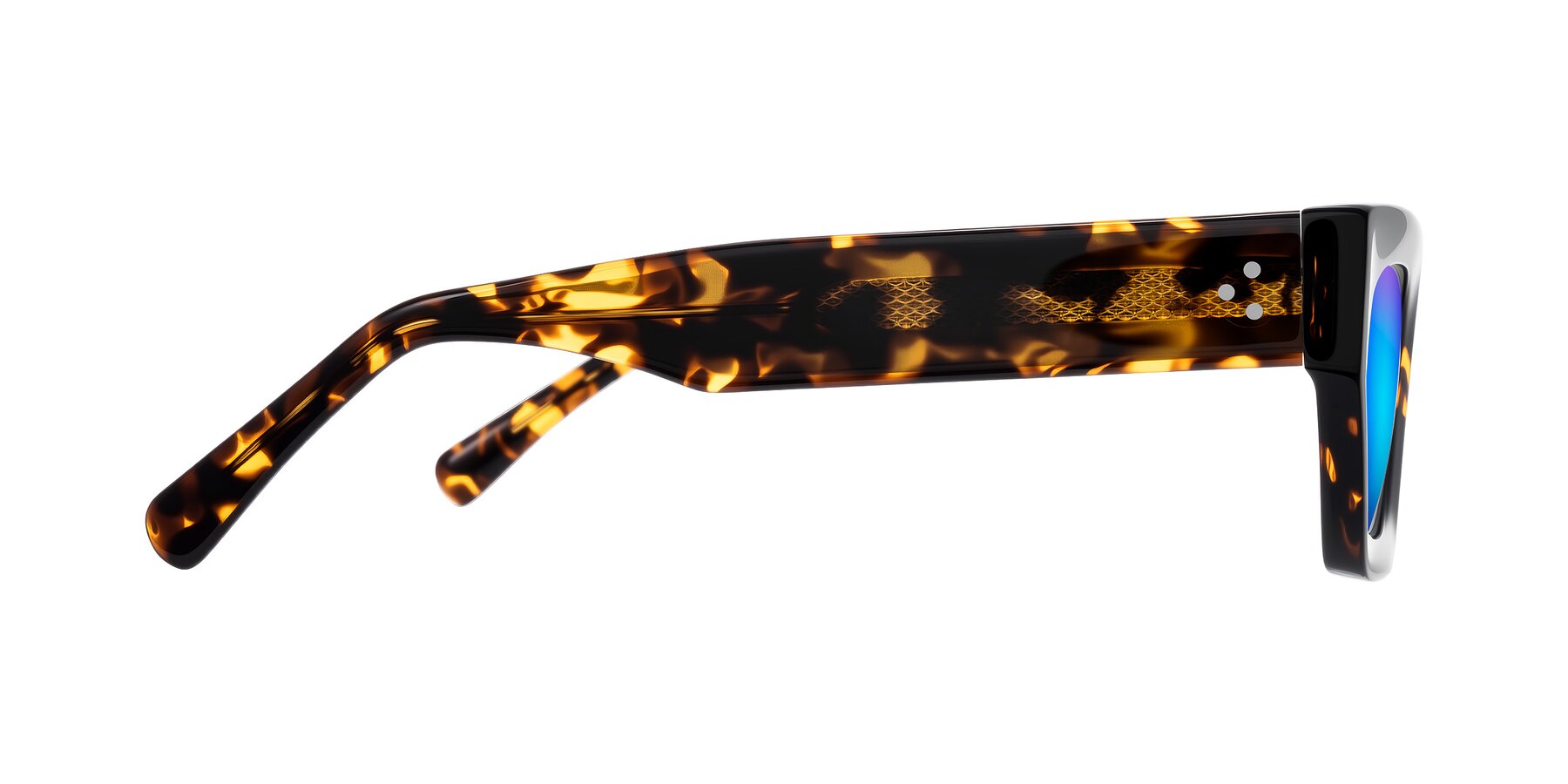 Side of Rex in Tortoise with Blue Mirrored Lenses