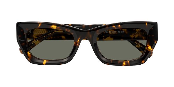 Front of Rex in Tortoise