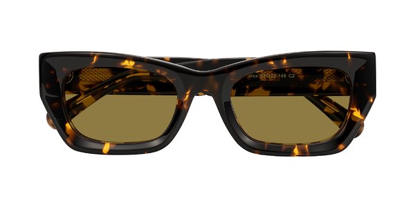 Front of Rex in Tortoise