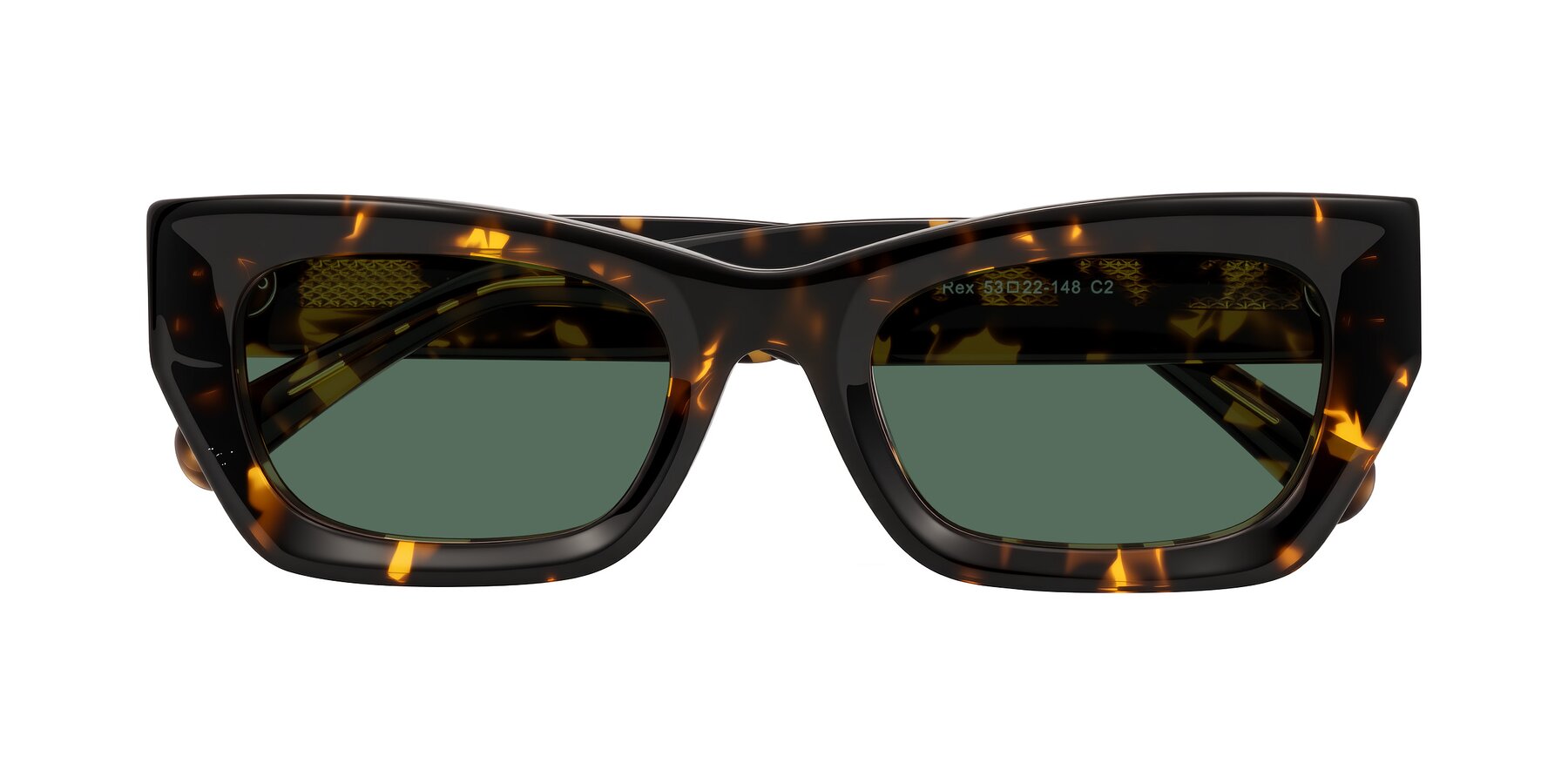 Folded Front of Rex in Tortoise with Green Polarized Lenses
