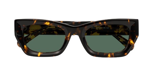 Front of Rex in Tortoise