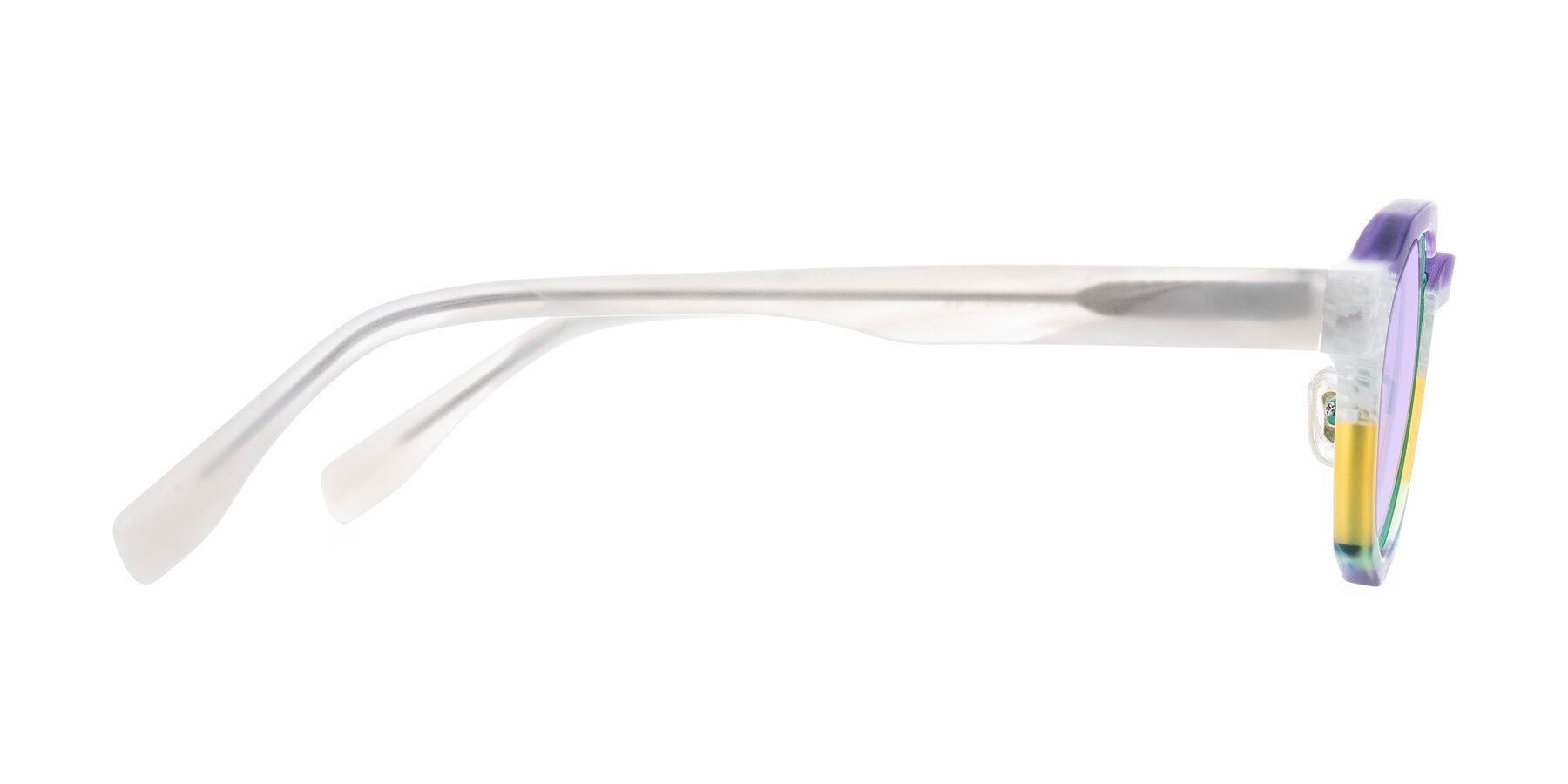 Side of Gisella in Matte Fruits with Light Purple Tinted Lenses