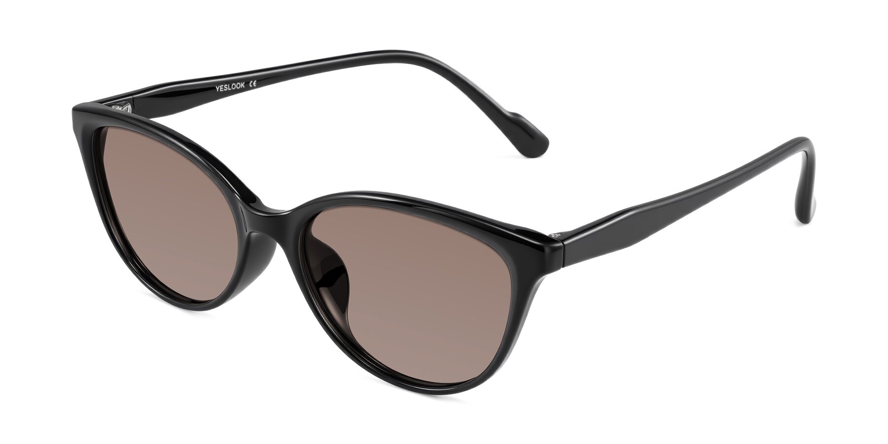 Angle of Hickman in Black with Medium Brown Tinted Lenses