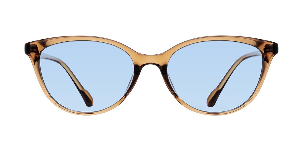 Hickman - Brown Tinted Sunglasses
