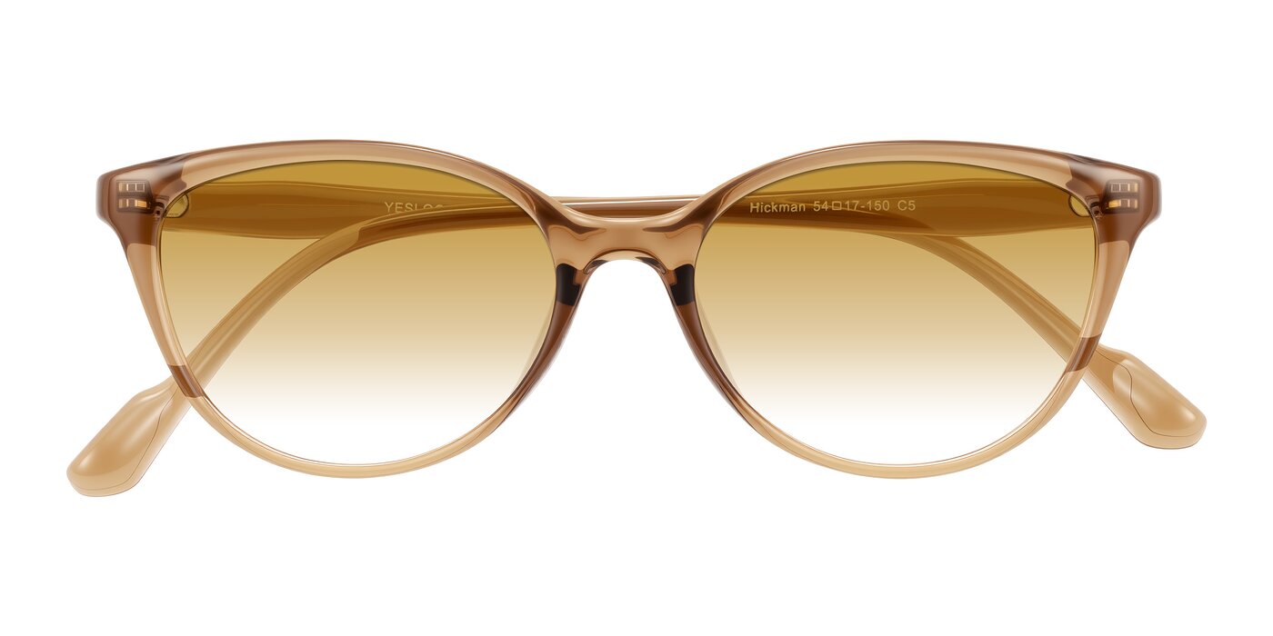 Hickman - Brown Gradient Sunglasses