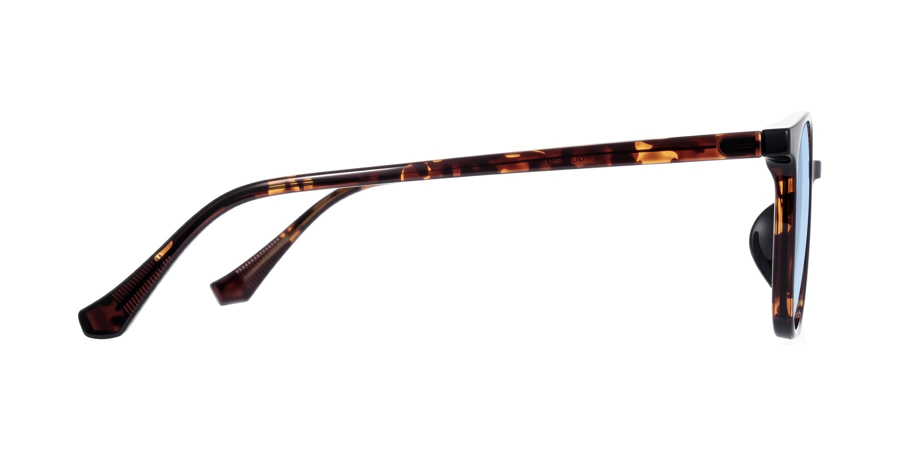 Side of Noor in Tortoise with Light Blue Tinted Lenses