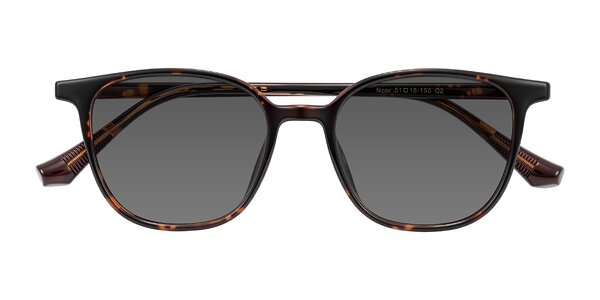 Front of Noor in Tortoise