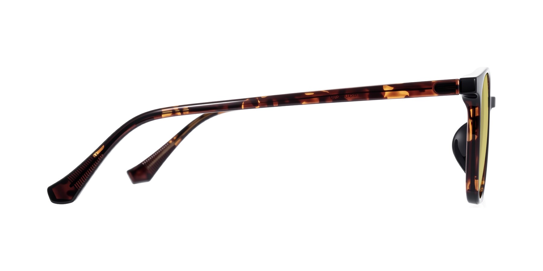 Side of Noor in Tortoise with Medium Champagne Tinted Lenses