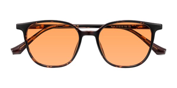 Front of Noor in Tortoise