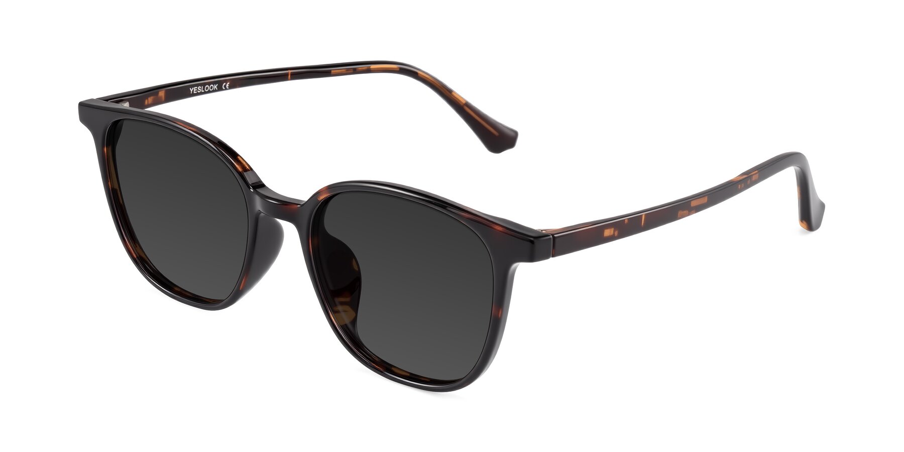 Angle of Noor in Tortoise with Gray Tinted Lenses