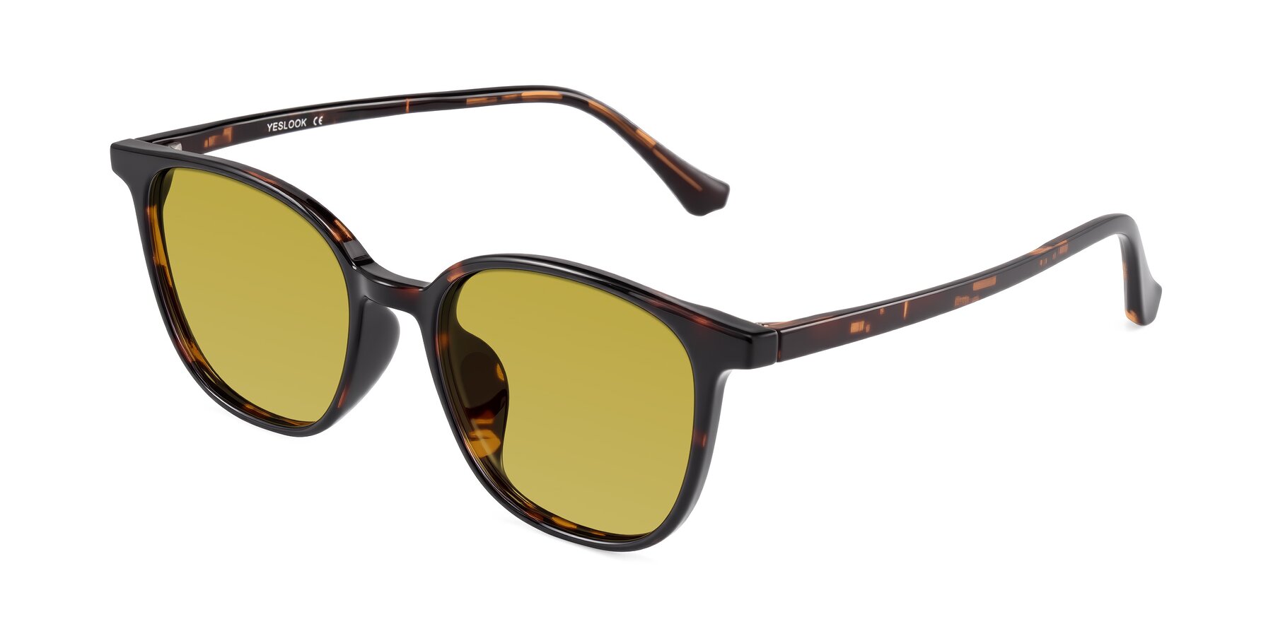 Angle of Noor in Tortoise with Champagne Tinted Lenses