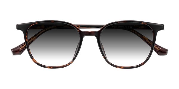 Front of Noor in Tortoise