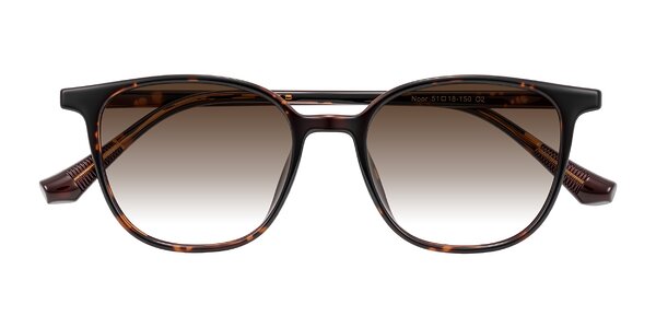 Front of Noor in Tortoise