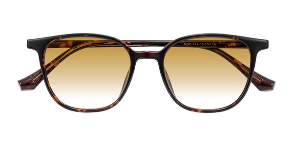 Front of Noor in Tortoise