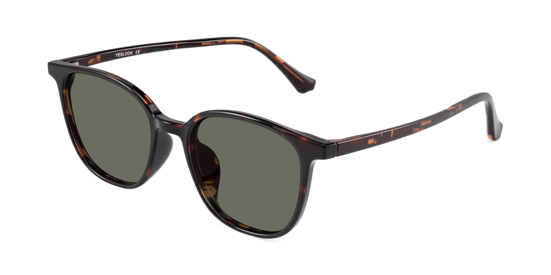 Angle of Noor in Tortoise with Gray Polarized Lenses