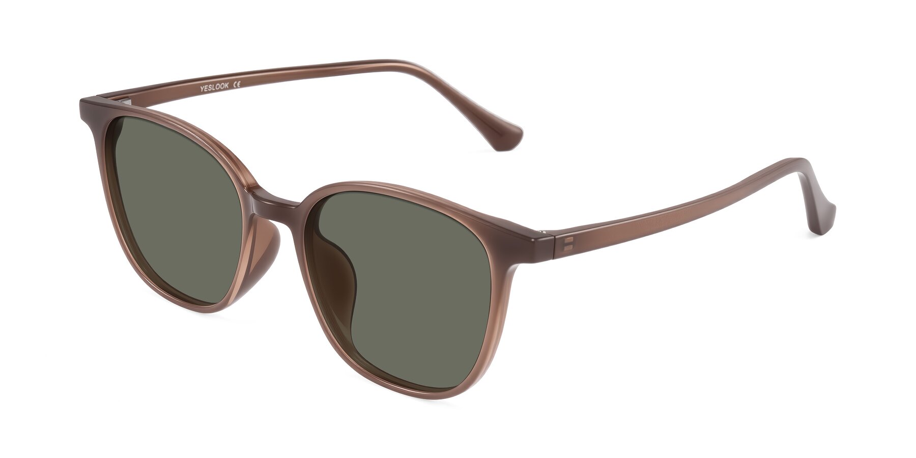 Angle of Noor in Coffee with Gray Polarized Lenses