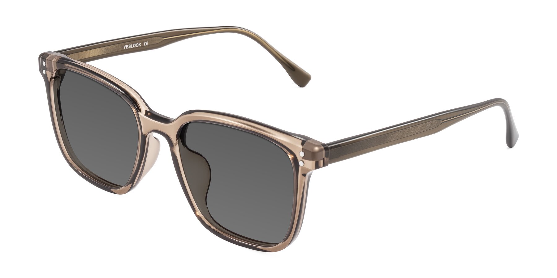 Angle of Ordoyo in Transparent Brown with Medium Gray Tinted Lenses