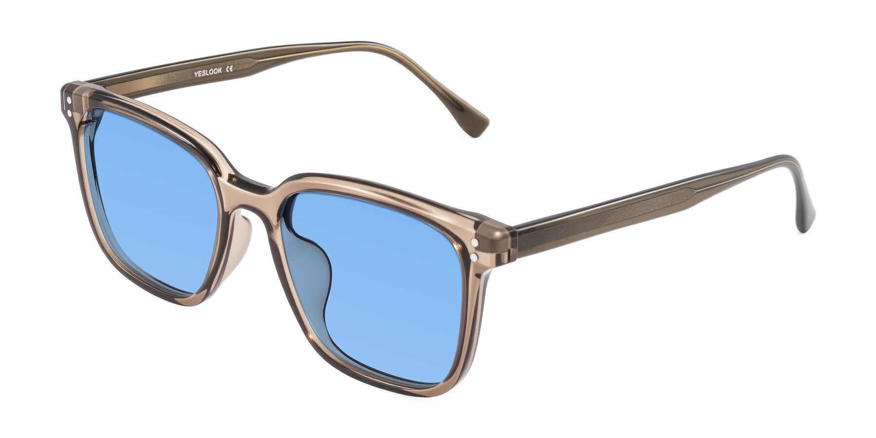 Angle of Ordoyo in Transparent Brown with Medium Blue Tinted Lenses