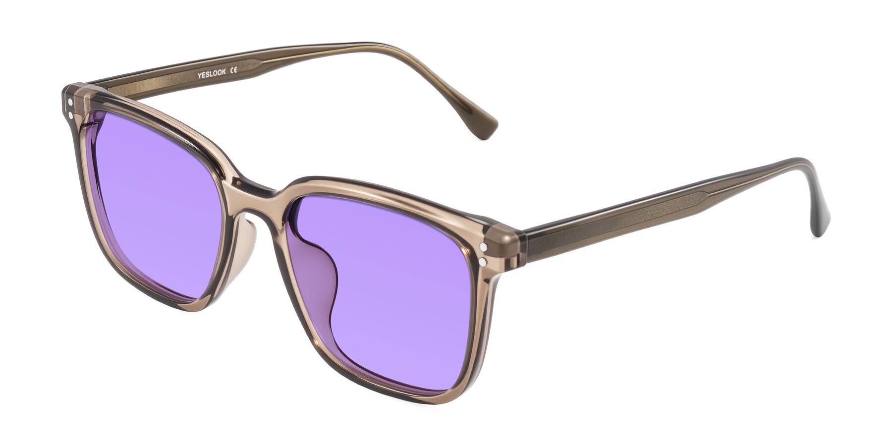 Angle of Ordoyo in Transparent Brown with Medium Purple Tinted Lenses