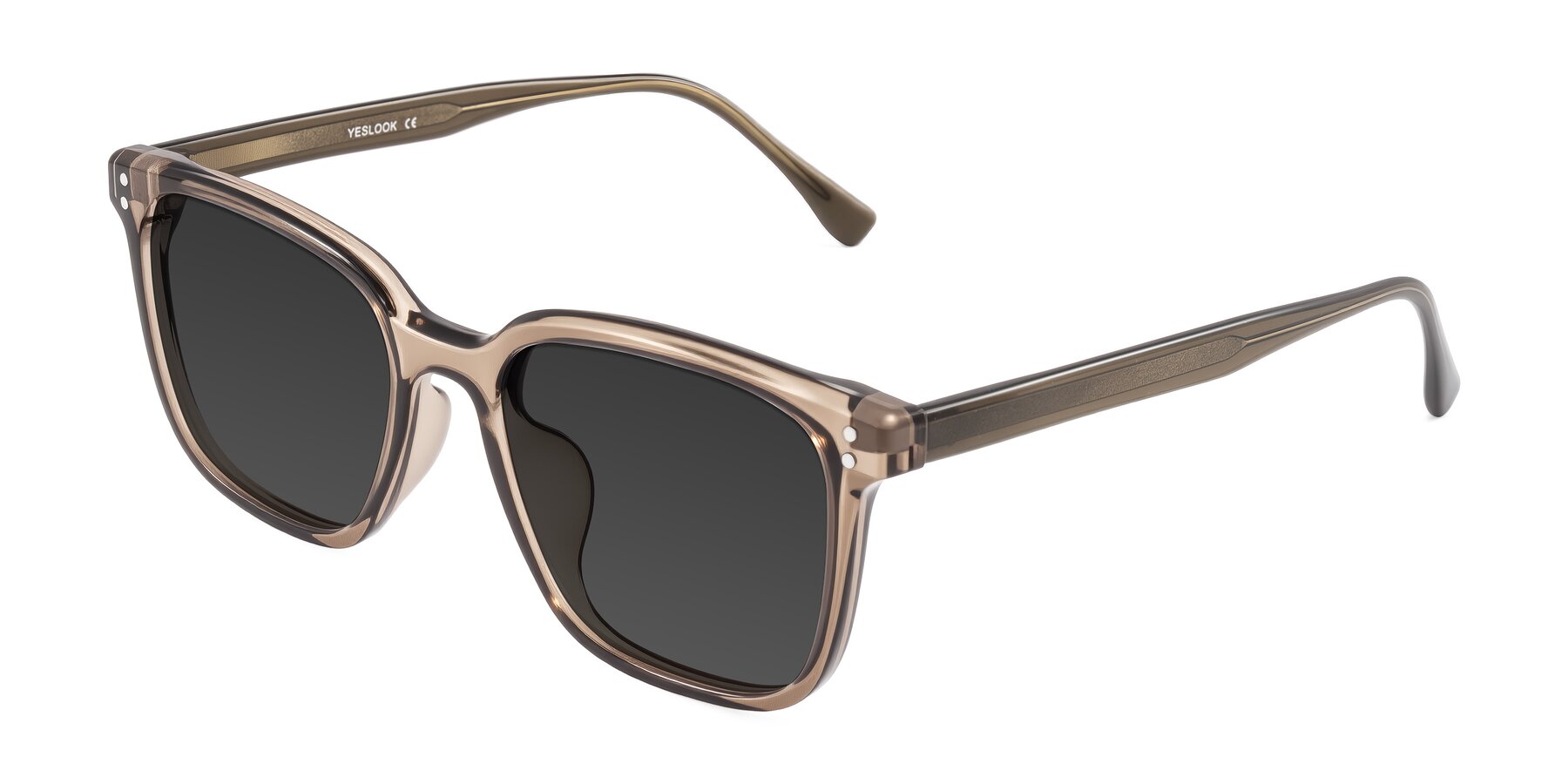 Angle of Ordoyo in Transparent Brown with Gray Tinted Lenses