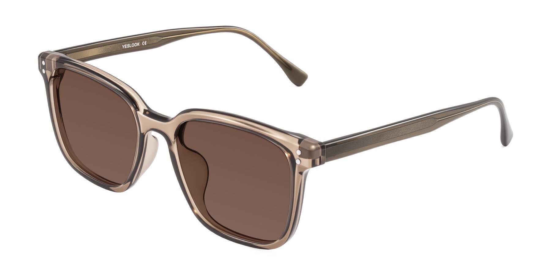 Angle of Ordoyo in Transparent Brown with Brown Tinted Lenses