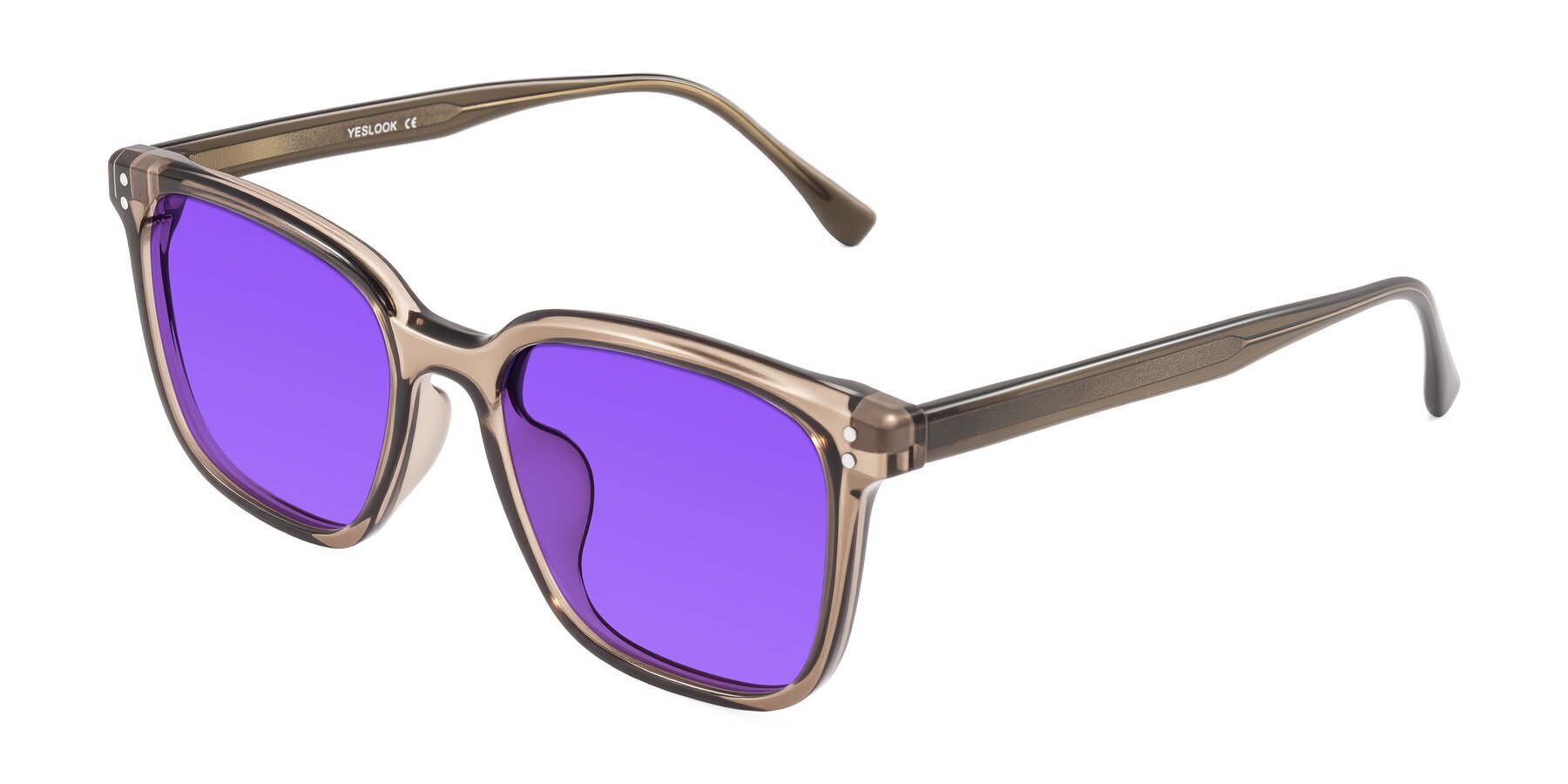 Angle of Ordoyo in Transparent Brown with Purple Tinted Lenses