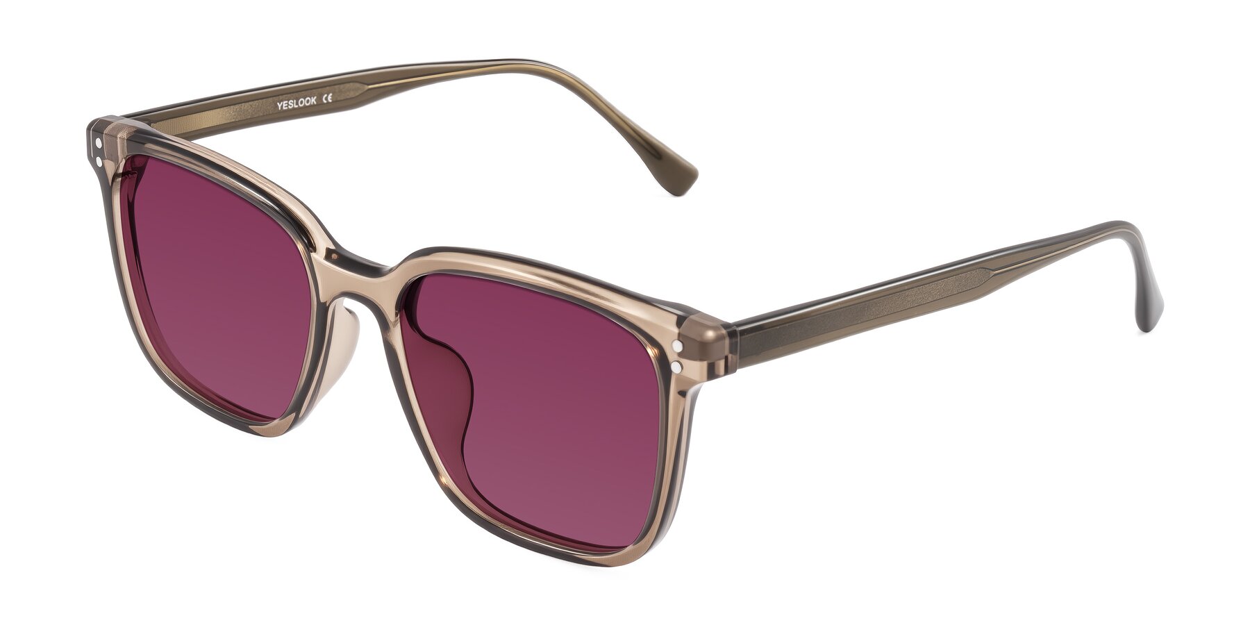 Angle of Ordoyo in Transparent Brown with Wine Tinted Lenses