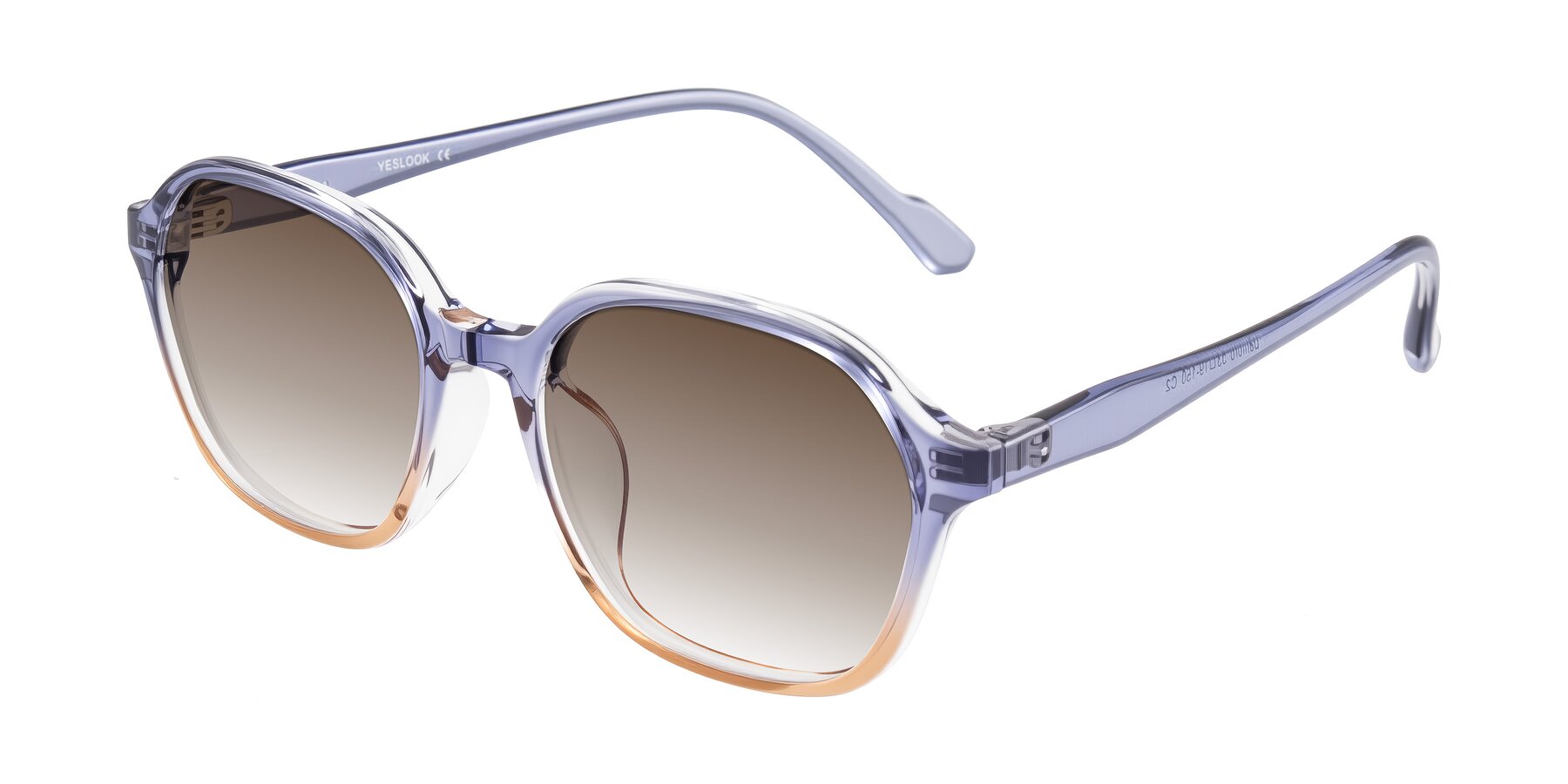 Angle of Banford in Crystal Indigo/Champagne with Brown Gradient Lenses