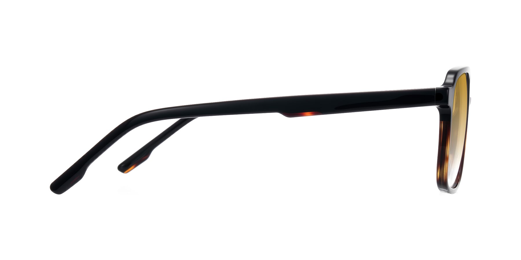 Side of Shawano in Black/Tortoise with Champagne Gradient Lenses