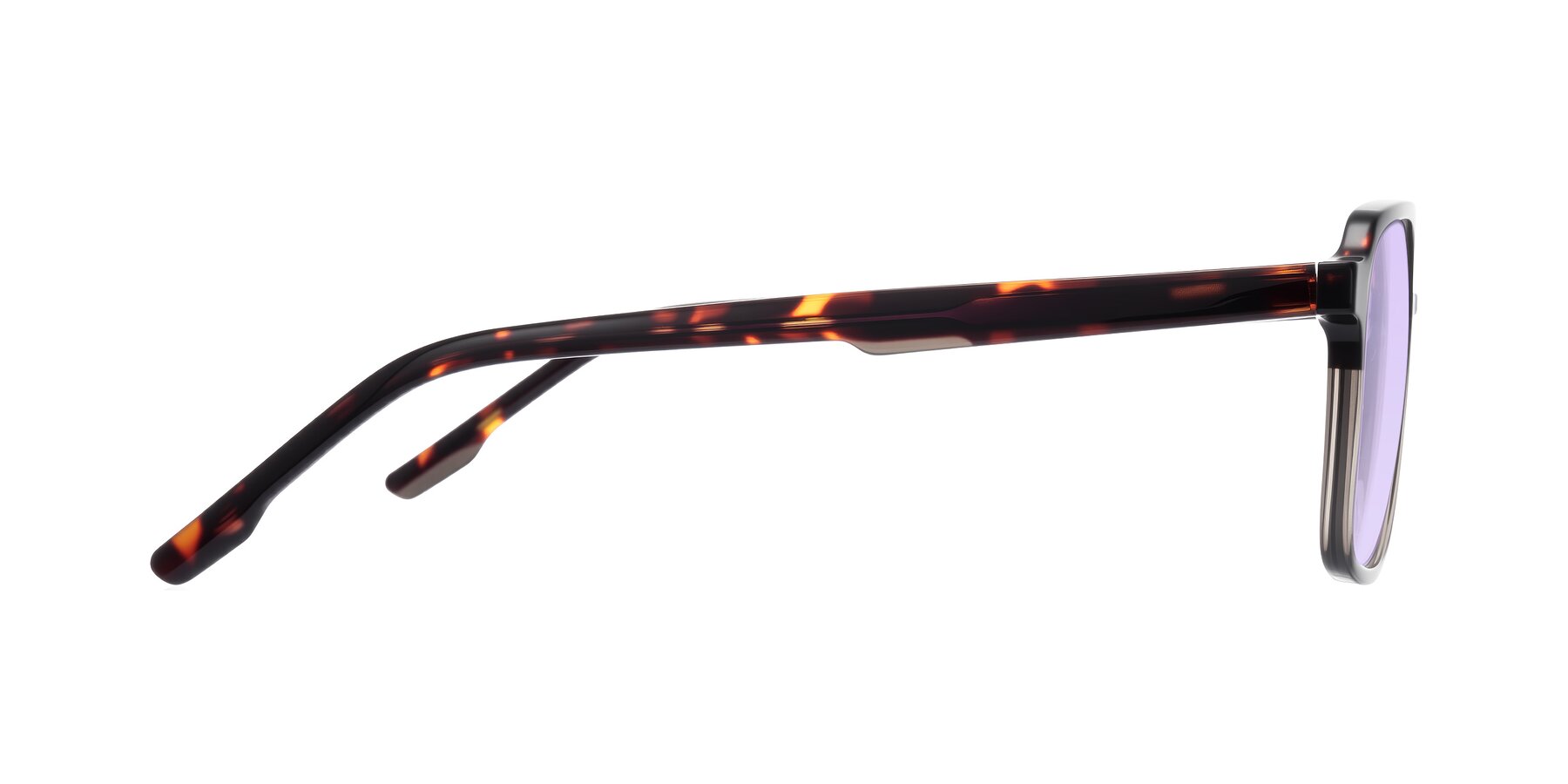 Side of Shawano in Tortoise/Transparent Gray with Light Purple Tinted Lenses