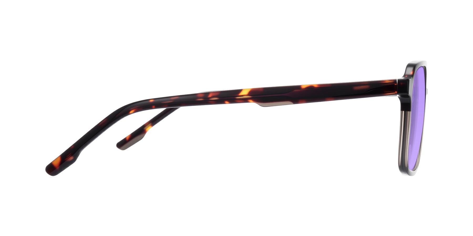 Side of Shawano in Tortoise/Transparent Gray with Medium Purple Tinted Lenses