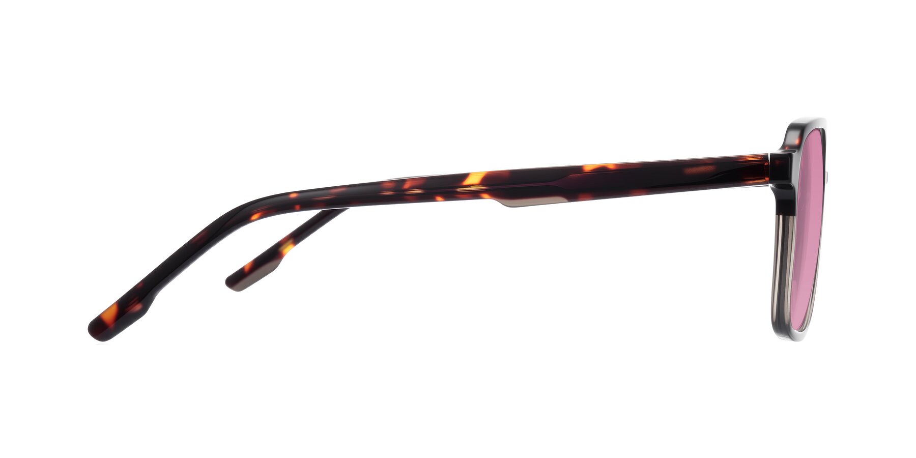 Side of Shawano in Tortoise/Transparent Gray with Medium Wine Tinted Lenses