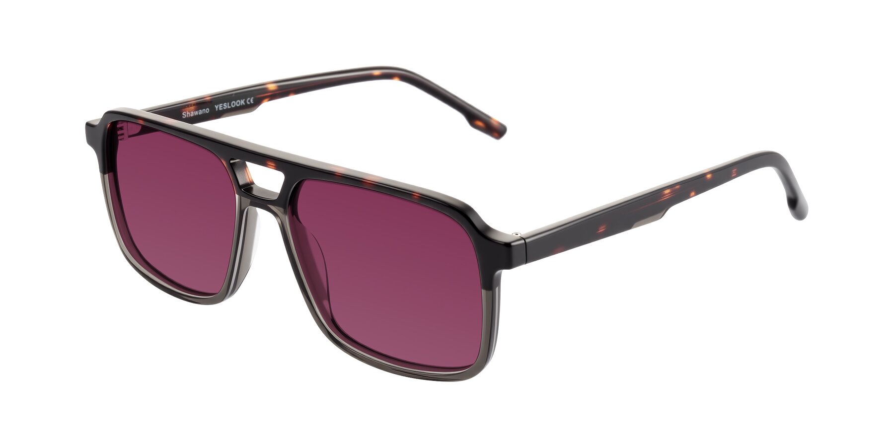 Angle of Shawano in Tortoise/Transparent Gray with Wine Tinted Lenses