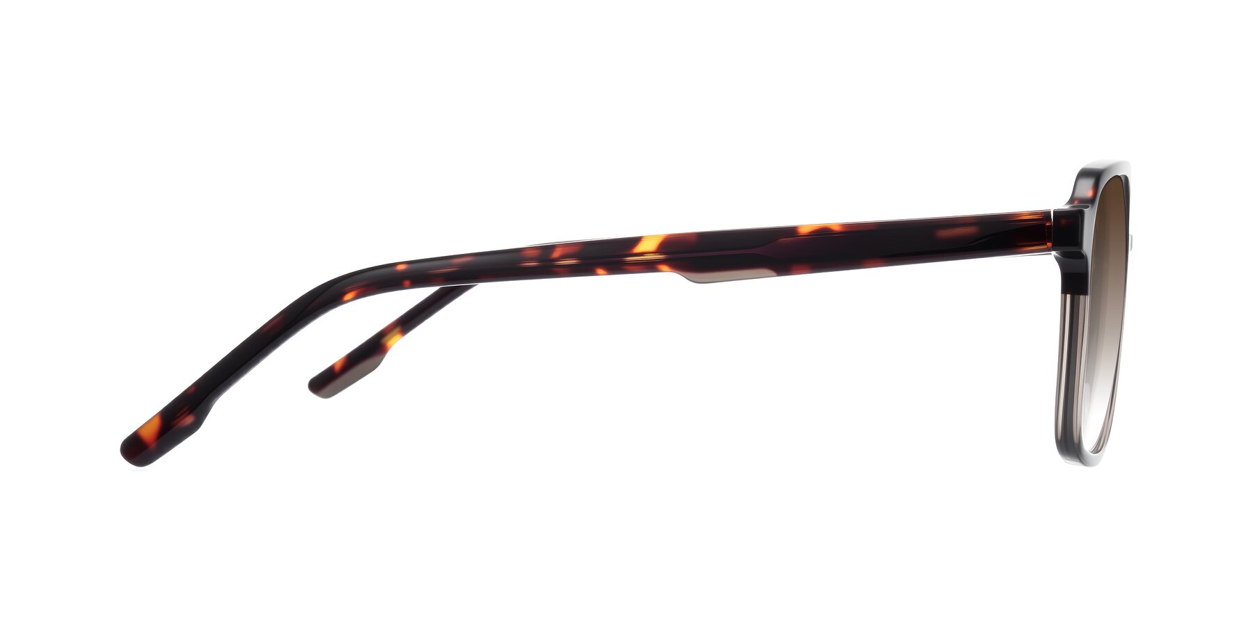Side of Shawano in Tortoise/Transparent Gray with Brown Gradient Lenses