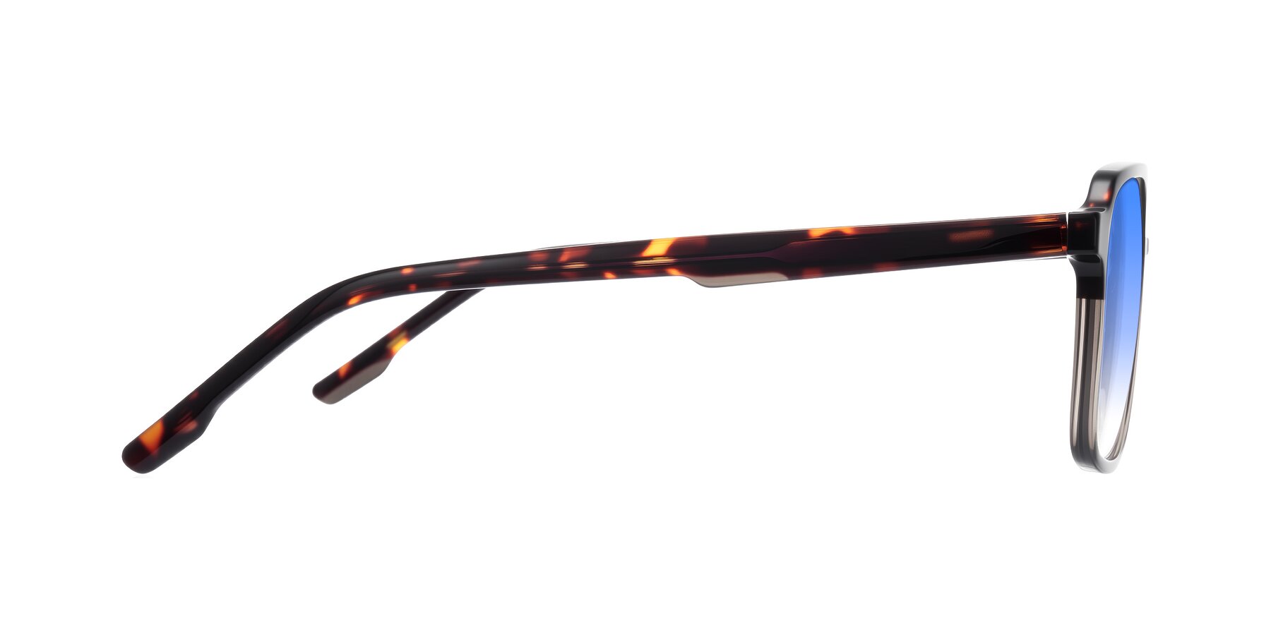 Side of Shawano in Tortoise/Transparent Gray with Blue Gradient Lenses