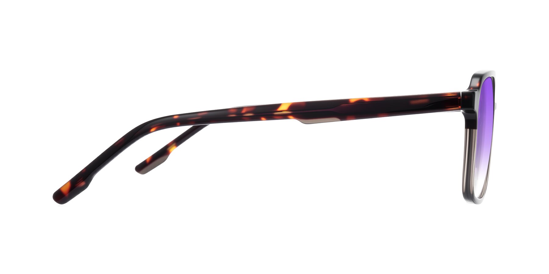 Side of Shawano in Tortoise/Transparent Gray with Purple Gradient Lenses