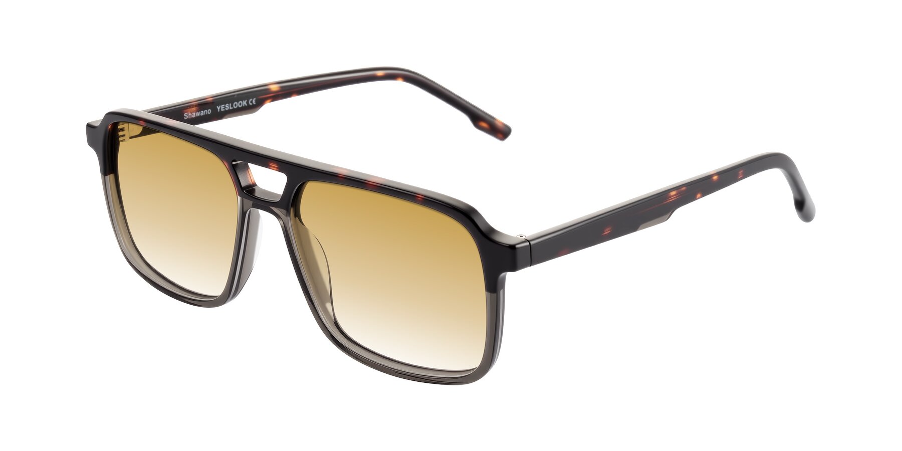 Angle of Shawano in Tortoise/Transparent Gray with Champagne Gradient Lenses