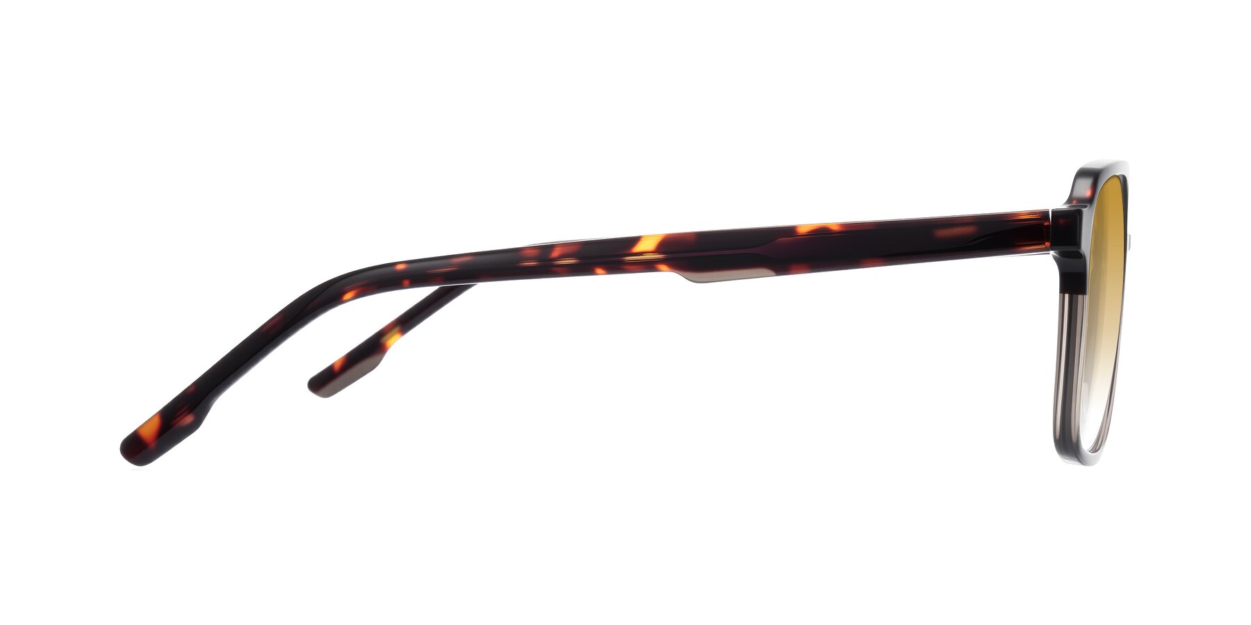 Side of Shawano in Tortoise/Transparent Gray with Champagne Gradient Lenses