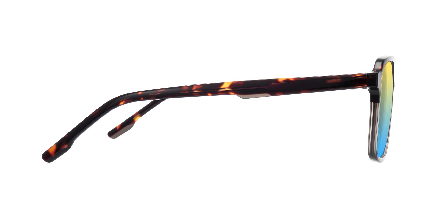 Side of Shawano in Tortoise/Transparent Gray with Yellow / Blue Gradient Lenses