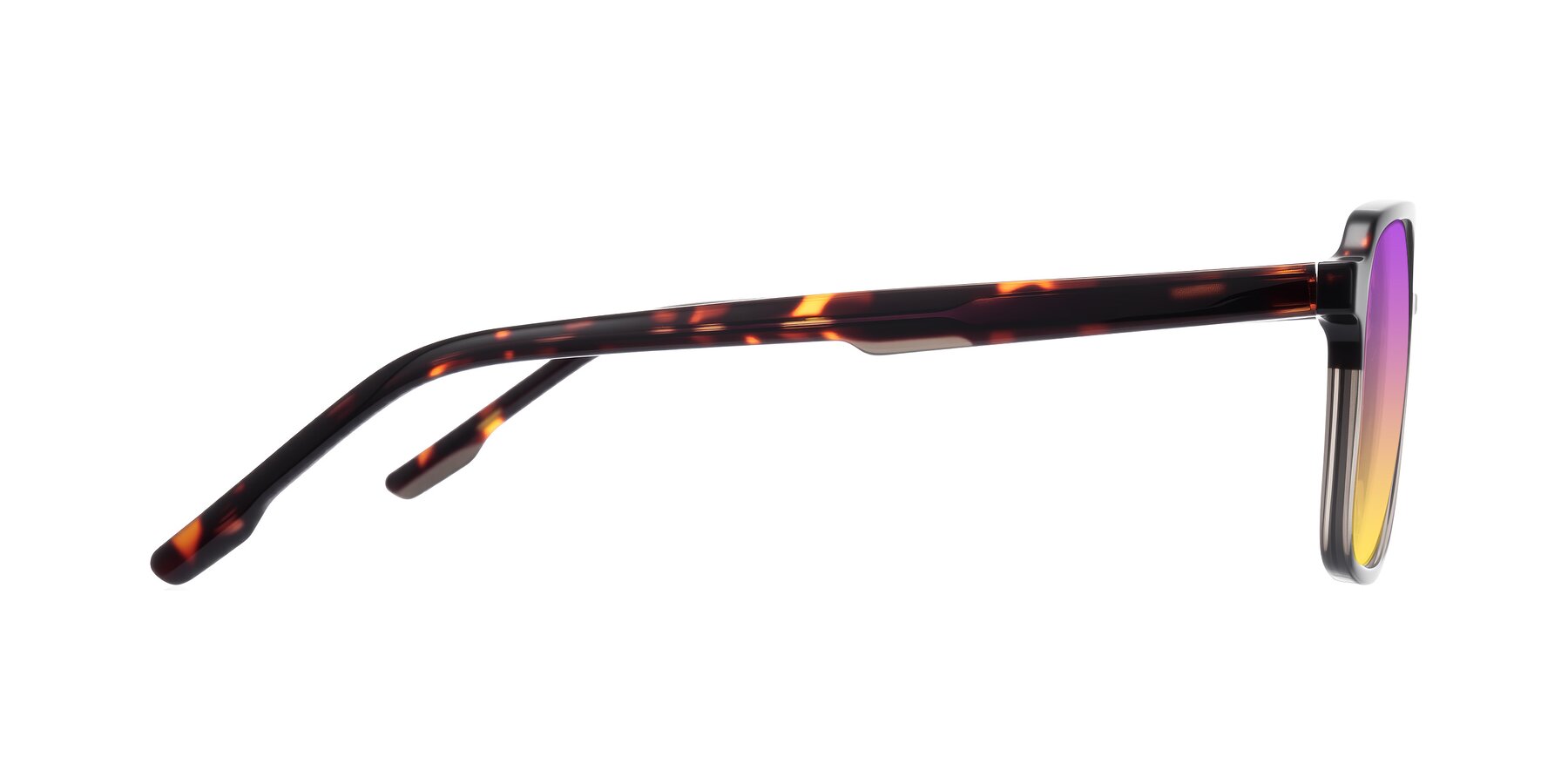 Side of Shawano in Tortoise/Transparent Gray with Purple / Yellow Gradient Lenses