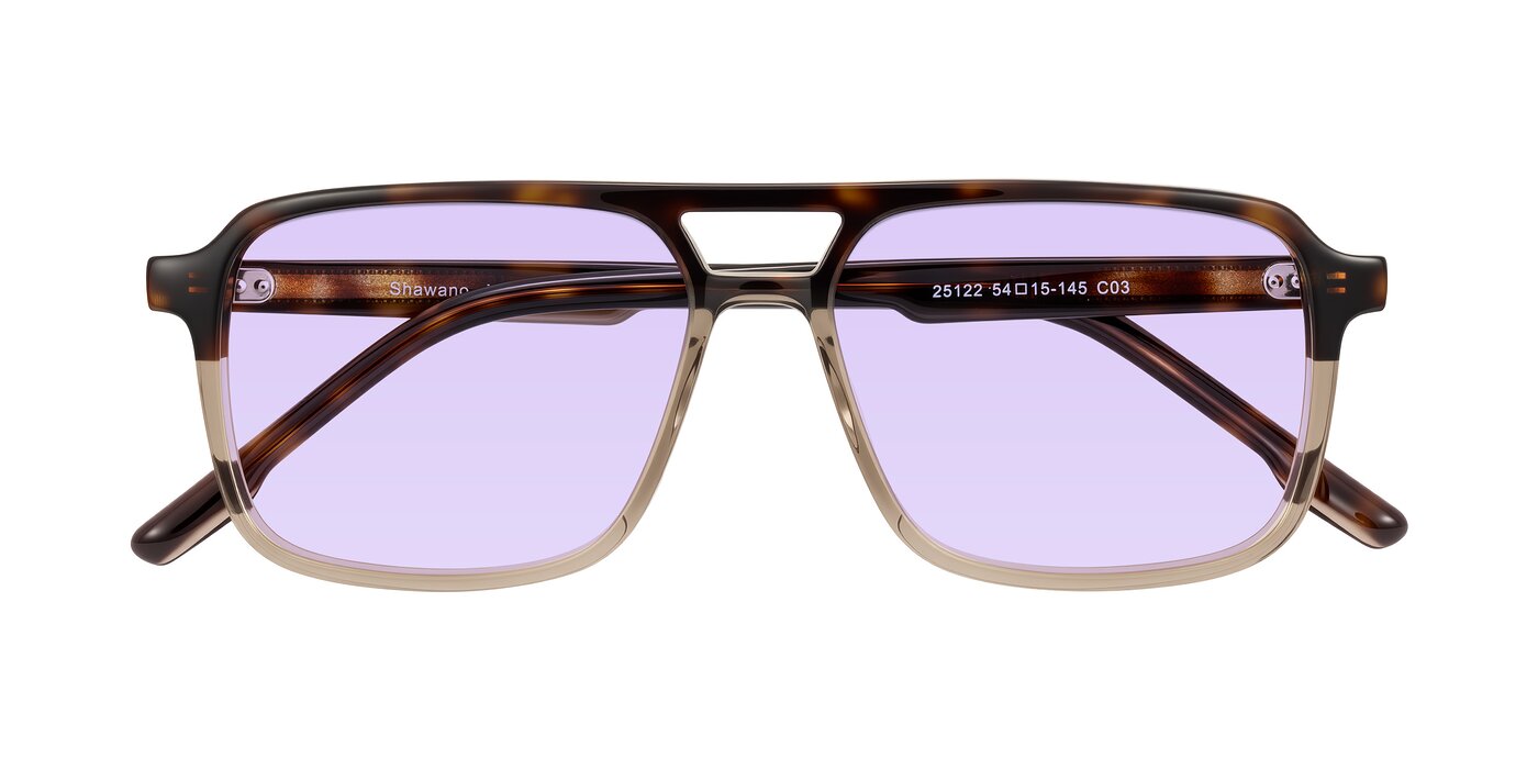 Shawano - Tortoise/Transparent Brown Tinted Sunglasses