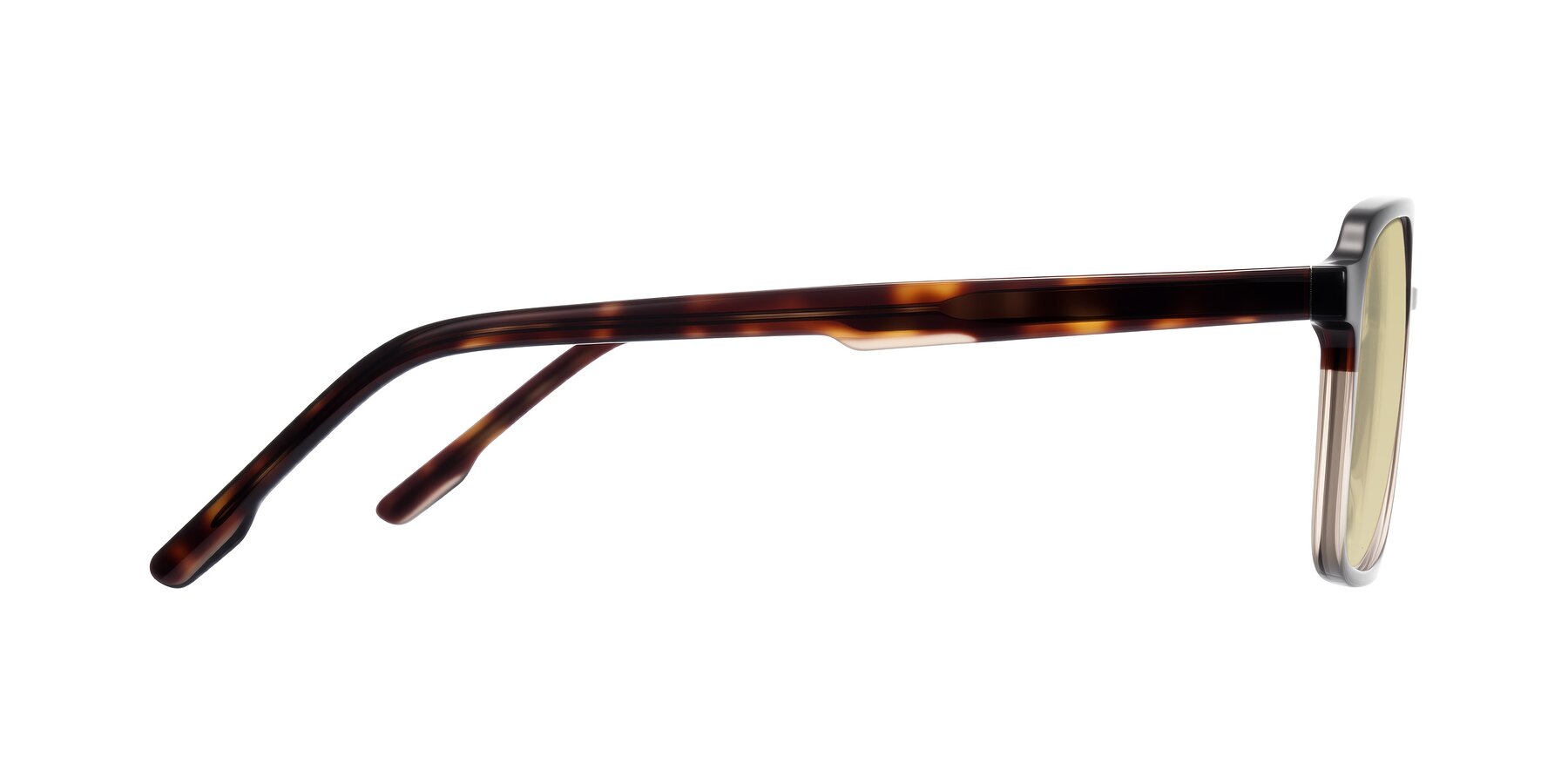 Side of Shawano in Tortoise/Transparent Brown with Light Champagne Tinted Lenses