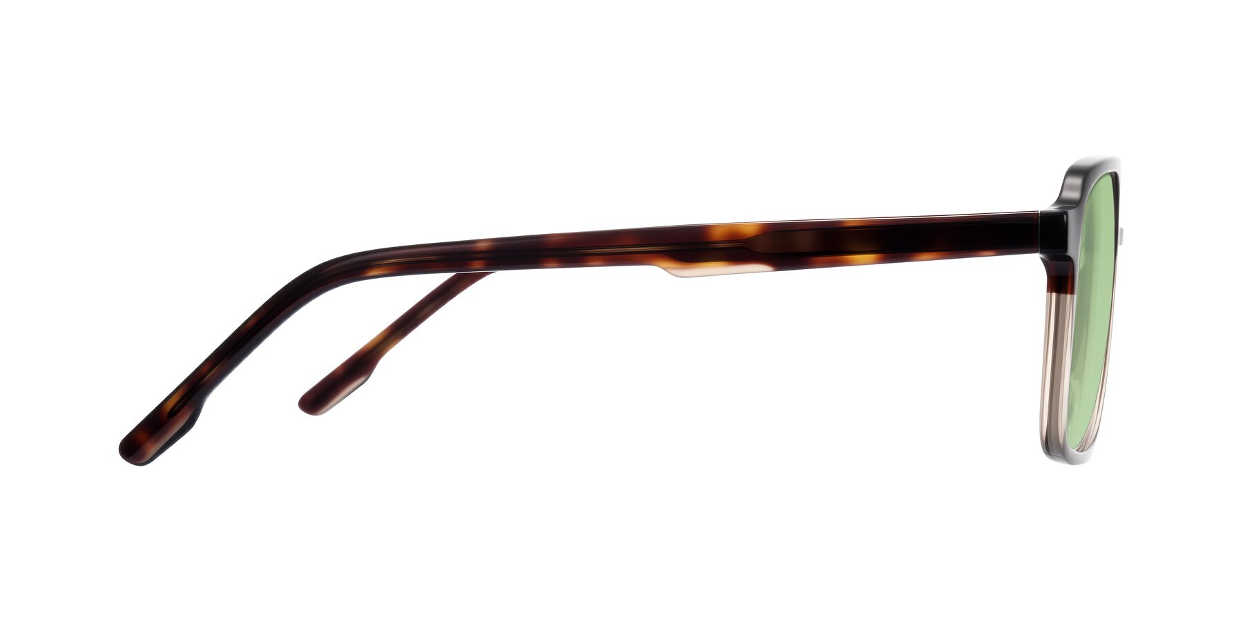 Side of Shawano in Tortoise/Transparent Brown with Medium Green Tinted Lenses