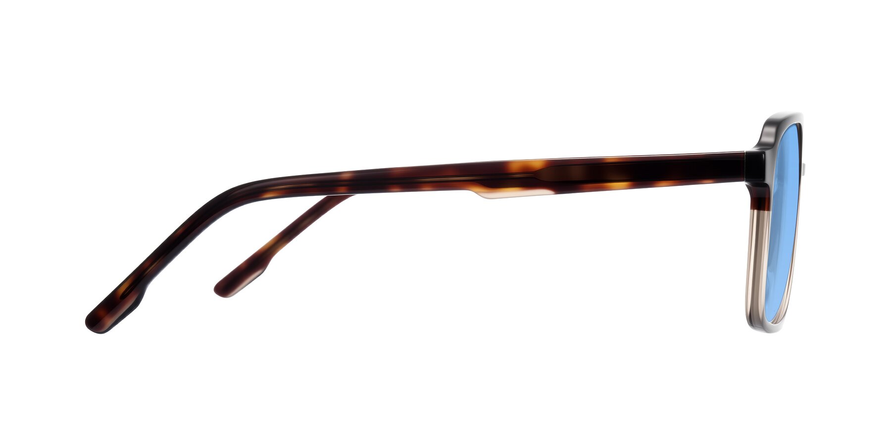 Side of Shawano in Tortoise/Transparent Brown with Medium Blue Tinted Lenses